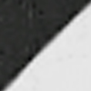 Anthracite/White
